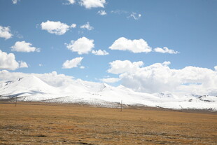 蓝天白云下的广袤原野