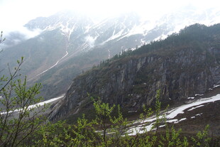 雪山下的葱郁山林