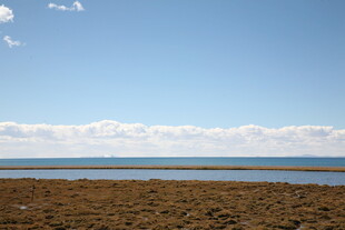 广阔原野与远处水域景观