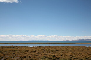 广阔草原与远处水域景观