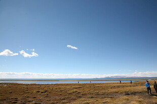 广阔草原上的远足者