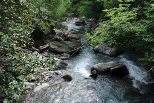 山间溪流 绿意环绕之景