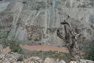 干旱地带的荒野景观