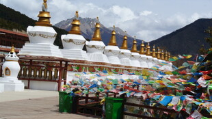 藏区白塔与五彩经幡景观