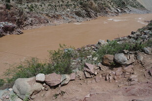 黄河边的岩石与植被景观