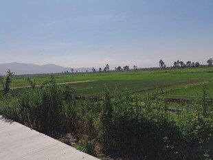 田园风光 宁静乡村景致