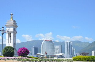 城市地标与多彩花卉景观