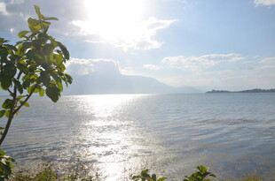 阳光照耀下的美丽海滨风光