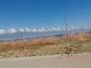 公路边的远山与开阔景致