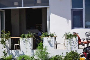 阳台绿植装点的惬意角落