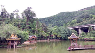 湖畔亭阁 青山绿水景致