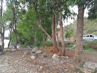 郊外树林碎石场景