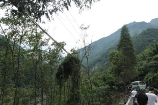 山林间骑行场景