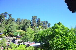 山林间的绿意小屋