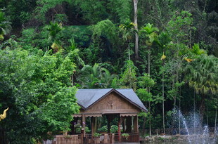 山林中的静谧木质小屋