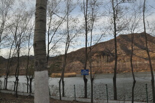 冬日湖边树木与远山景致