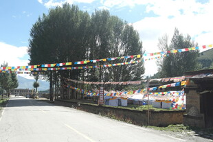 藏区路边经幡装点的景致