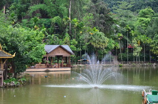 湖畔喷泉与林间小屋