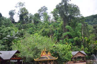 山林中的传统特色建筑