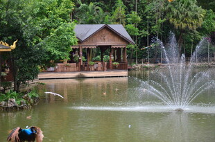 湖畔喷泉旁的别致小屋
