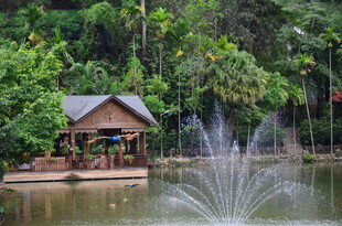 湖畔小屋旁的喷泉景观