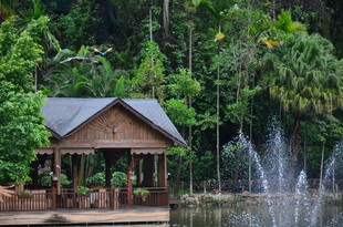 湖畔木屋旁的喷泉美景