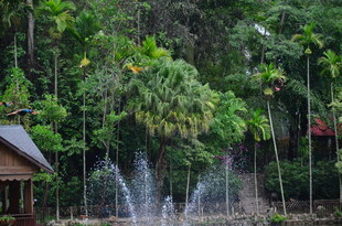 林间喷泉小屋的自然景致