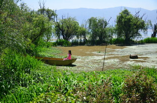 乡村河畔的劳作场景
