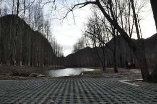 冬日河畔空旷步道景象