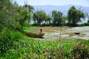 湖畔田园风光中的独行者