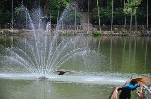 湖畔喷泉旁的休闲一幕