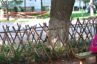 竹制树围 公园别致小景