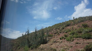 山间景致 蓝天白云绿树