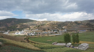乡村田野间的宁静景致