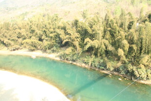 翠绿河畔的迷人自然景致