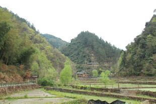 山间梯田景色