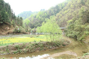 山间田园溪流美景