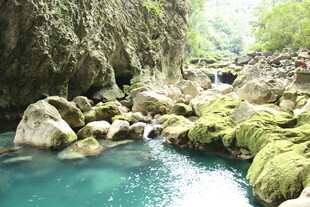 山间碧溪 石上青苔覆景