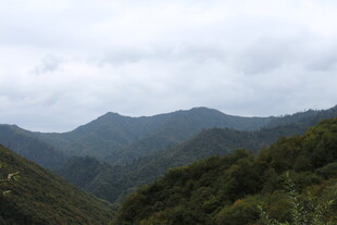山峦叠翠的自然美景