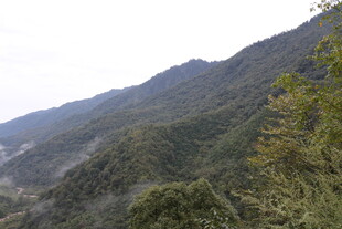 山峦叠翠的自然美景