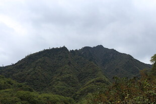 云雾缭绕的翠绿山峰