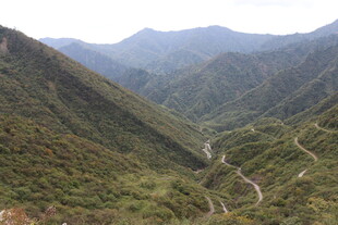 山间蜿蜒公路 绿意盎然