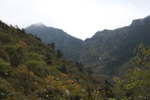 山间绿意盎然的秀丽景致