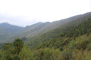 山峦葱郁的自然美景