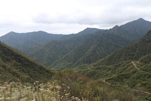 山峦叠翠的自然风光