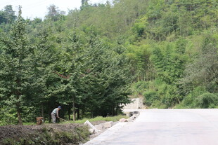 山间公路旁的自然景致