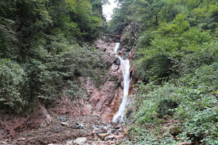 山间溪流穿林而过