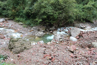 山间溪流旁的自然景致