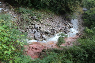 山间溪流穿林过