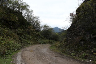 山间蜿蜒土路 绿意环绕